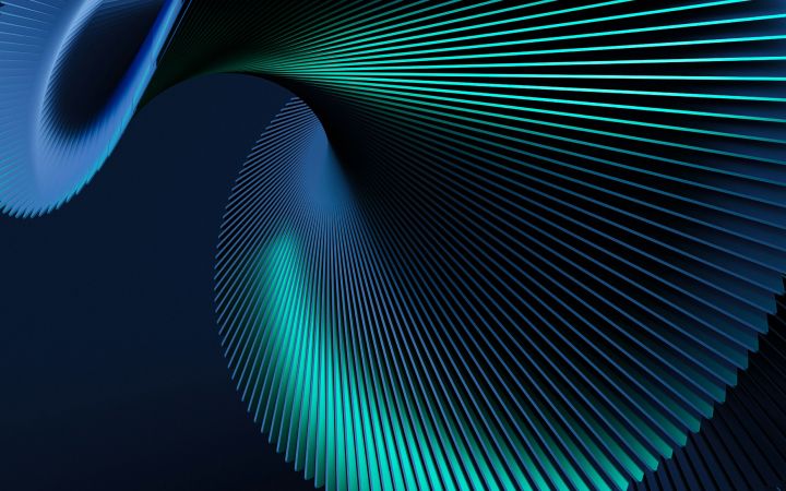 I want to build internal digital capability, not dependency